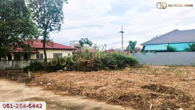ที่ดินจัดสรร น.ส.3ก หมู่บ้านไพศาลวิลล์ 3 แปลงหัวมุม วิวภูเขา