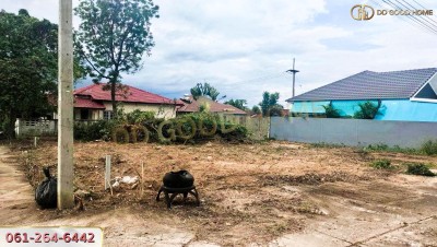 ที่ดินจัดสรร น.ส.3ก หมู่บ้านไพศาลวิลล์ 3 แปลงหัวมุม วิวภูเขา