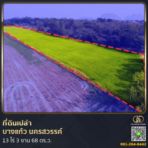 ที่ดิน อ.บรรพตพิสัย 13 ไร่ 368 ตร.ว. นครสวรรค์-1