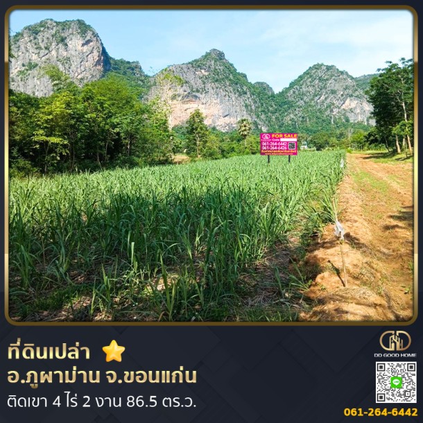 ❌SOLD OUT❌ที่ดินเปล่า 4 ไร่ 2 งาน 86.5 ตร.ว. อ.ภูผาม่าน จ.ขอนแก่น ติดเขา-1