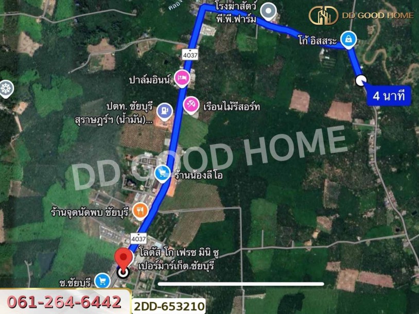 ที่ดินสวนยางชัยบุรี 5 ไร่ 23.4 ตร.ว. สุราษฎร์ธานี ใกล้ตลาดสดเทศบาลชัยบุรี-9