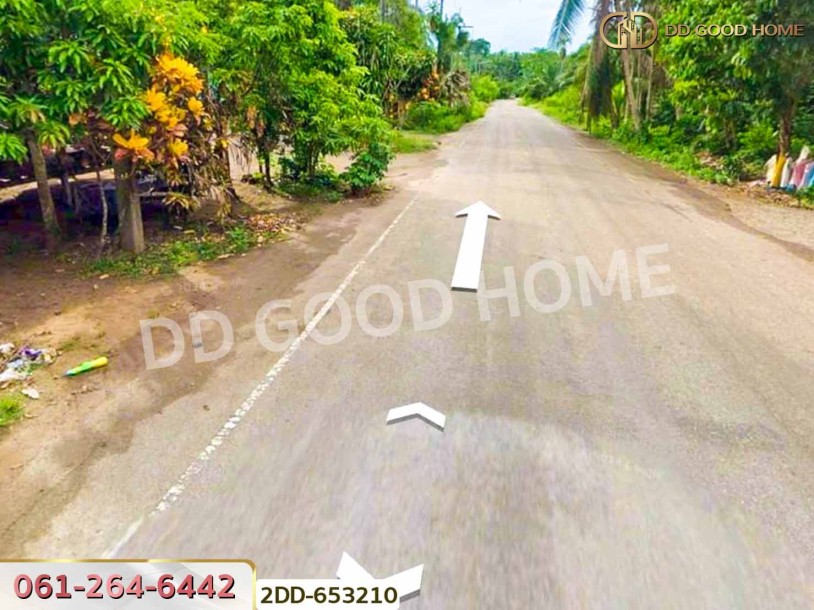 ที่ดินสวนยางชัยบุรี 5 ไร่ 23.4 ตร.ว. สุราษฎร์ธานี ใกล้ตลาดสดเทศบาลชัยบุรี-8