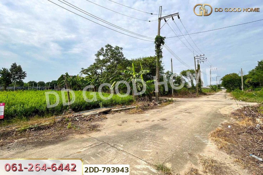ที่ดินบางใหญ่ 89 ตร.ว. ซ.หมู่บ้านศรีสุภาลัย 1 นนทบุรี ใกล้วัดต้นเชือก-2