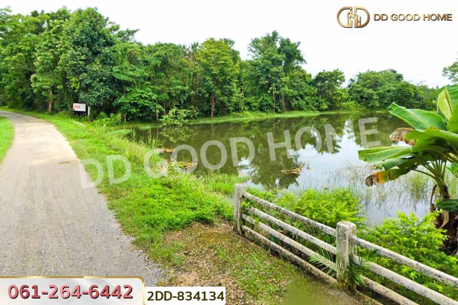 ที่ดินพาน 1 ไร่ 388 ตร.ว. เชียงราย ใกล้ศูนย์เรียนรู้การพัฒนาสตรีและครอบครัว-6