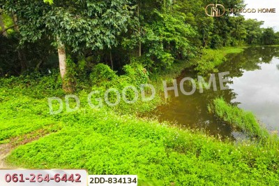 ที่ดินพาน 1 ไร่ 388 ตร.ว. เชียงราย ใกล้ศูนย์เรียนรู้การพัฒนาสตรีและครอบครัว-3