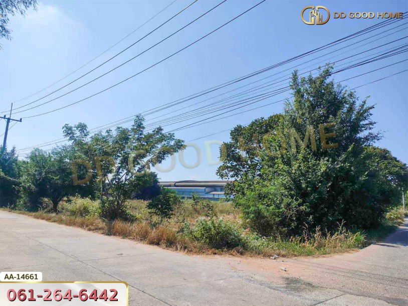 ที่ดิน อ.เมืองนครราชสีมา 3 ไร่ 349 ตร.ว. นิคมอุตสาหกรรมสุรนารี หัวทะเล นครราชสีมา-4