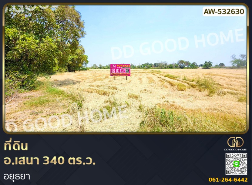 ที่ดิน อ.เสนา 340 ตร.ว. อยุธยา-1