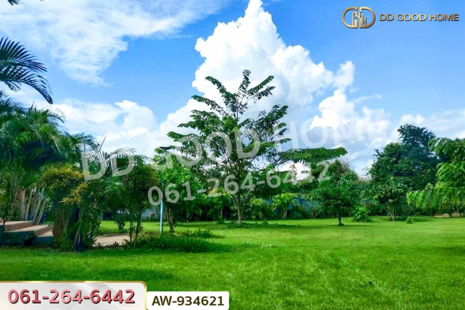 ที่ดินพร้อมบ้านเดี่ยว 1 ไร่ 45.2 ตร.ว. ภูเรือ เลย ใกล้ อบต. ปลาบ่า-5