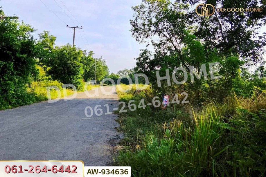 ที่ดินบ้านบะเสียว เนินสง่า 136.6 ตร.ว. ชัยภูมิ ใกล้โรงพยาบาลเนินสง่า-2