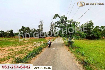 ที่ดินบ้านบะเสียว เนินสง่า 136.6 ตร.ว. ชัยภูมิ ใกล้โรงพยาบาลเนินสง่า-11