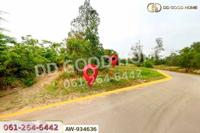 ที่ดินบ้านบะเสียว เนินสง่า 136.6 ตร.ว. ชัยภูมิ ใกล้โรงพยาบาลเนินสง่า-10
