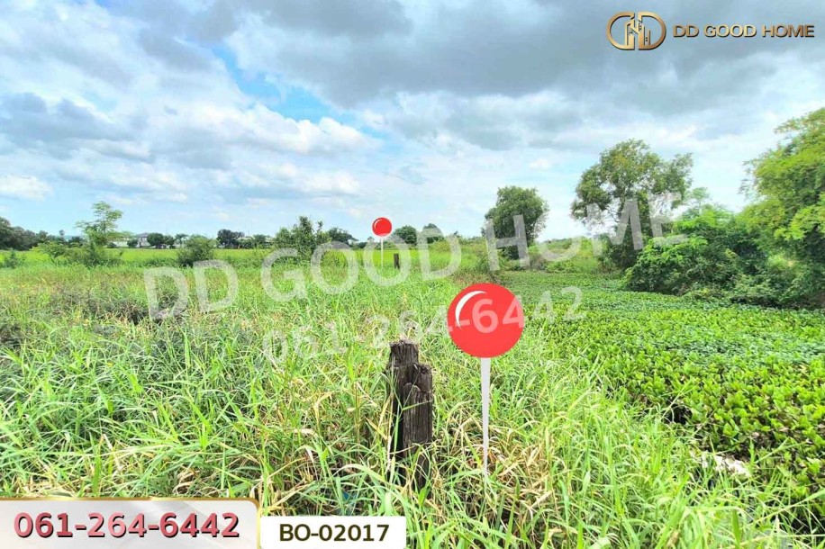 ที่ดินบางปะอิน 164 ตร.ว. พระนครศรีอยุธยา ใกล้นิคมอุตสาหกรรมนวนคร-9