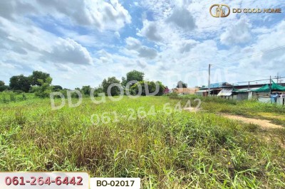 ที่ดินบางปะอิน 164 ตร.ว. พระนครศรีอยุธยา ใกล้นิคมอุตสาหกรรมนวนคร-7
