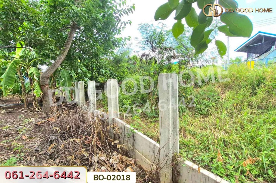 ที่ดินบางไทร 104 ตร.ว. พระนครศรีอยุธยา ใกล้นิคมอุตสาหกรรมนวนคร-9