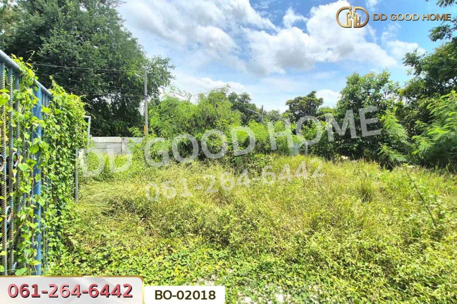 ที่ดินบางไทร 104 ตร.ว. พระนครศรีอยุธยา ใกล้นิคมอุตสาหกรรมนวนคร-7