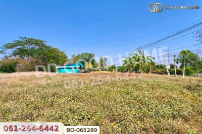 ที่ดินพร้อมสิ่งปลูกสร้างบ้านหมี่ 1 ไร่ 229 ตร.ว. ลพบุรี ใกล้ที่ว่าการอำเภอบ้านหมี่-7