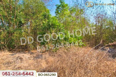 ที่ดินบ้านหมี่ 1 ไร่ 386.6 ตร.ว. ลพบุรี ใกล้ที่ว่าการอำเภอบ้านหมี่-5