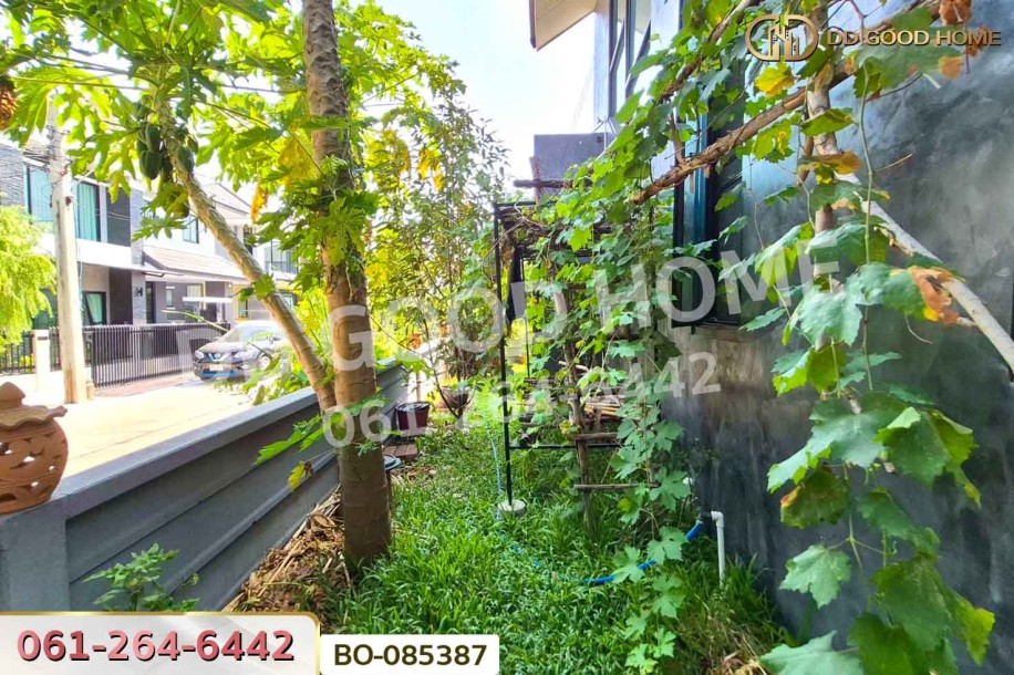 บ้านเดี่ยว ปรารถนา พาวิลเลี่ยน ถ.นครอินทร์ ใกล้โรงเรียนเด่นหล้า พระราม 5 (เช่า)-9