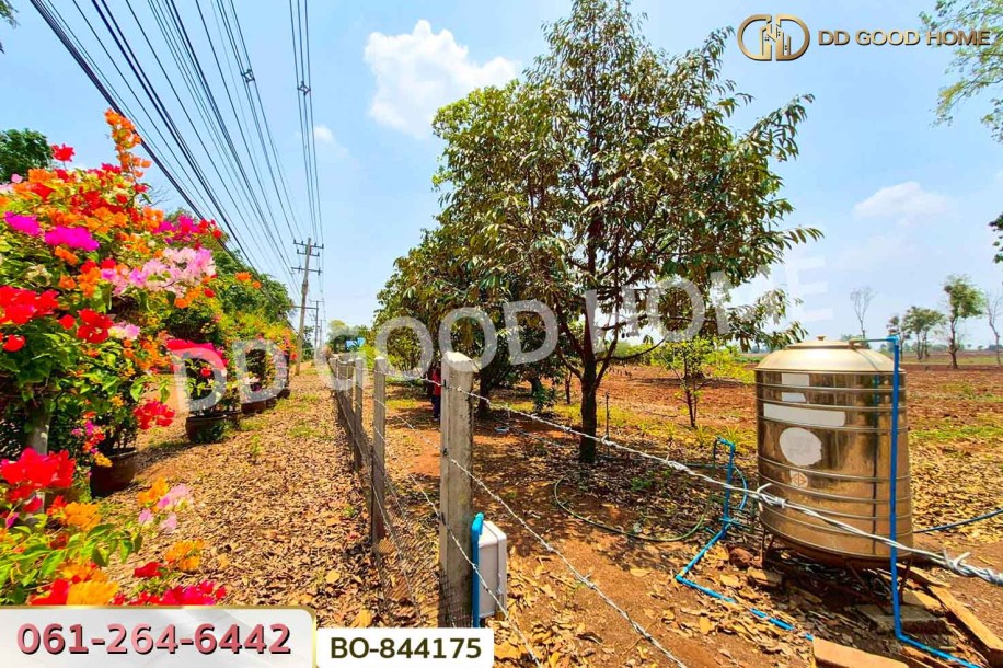 ที่ดินหนองบุญมาก 66 ไร่ 259 ตร.ว. นครราชสีมา ใกล้โรงพยาบาลหนองบุญมาก-8