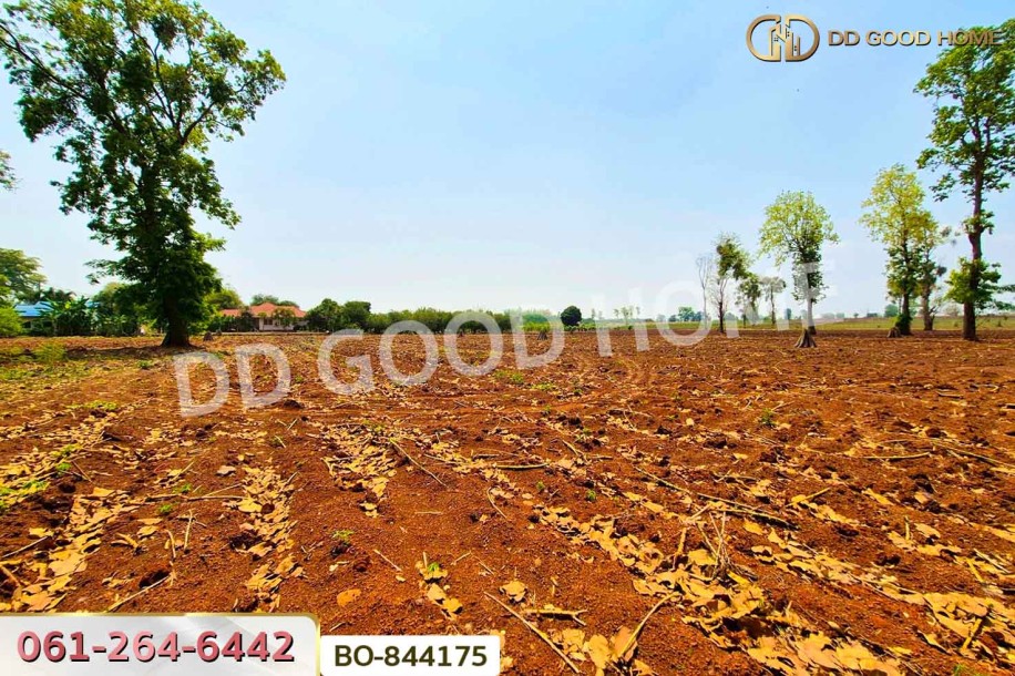 ที่ดินหนองบุญมาก 66 ไร่ 259 ตร.ว. นครราชสีมา ใกล้โรงพยาบาลหนองบุญมาก-6
