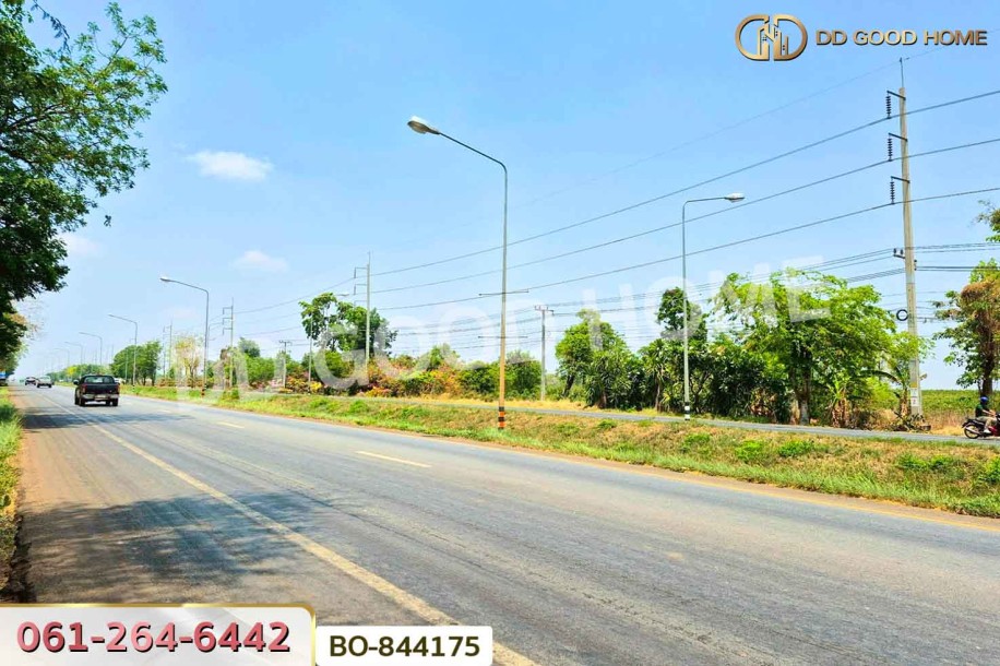 ที่ดินหนองบุญมาก 66 ไร่ 259 ตร.ว. นครราชสีมา ใกล้โรงพยาบาลหนองบุญมาก-3