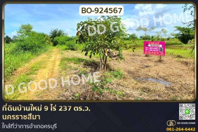 ที่ดินบ้านใหม่ 9 ไร่ 237 ตร.ว. นครราชสีมา ใกล้ที่ว่าการอำเภอครบุรี-1