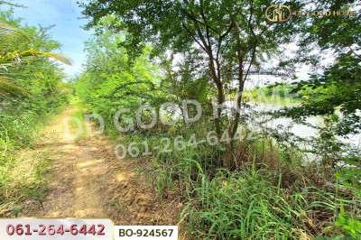 ที่ดินบ้านใหม่ 9 ไร่ 237 ตร.ว. นครราชสีมา ใกล้ที่ว่าการอำเภอครบุรี-6