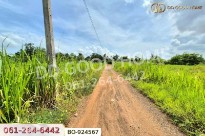 ที่ดินบ้านใหม่ 9 ไร่ 237 ตร.ว. นครราชสีมา ใกล้ที่ว่าการอำเภอครบุรี-4
