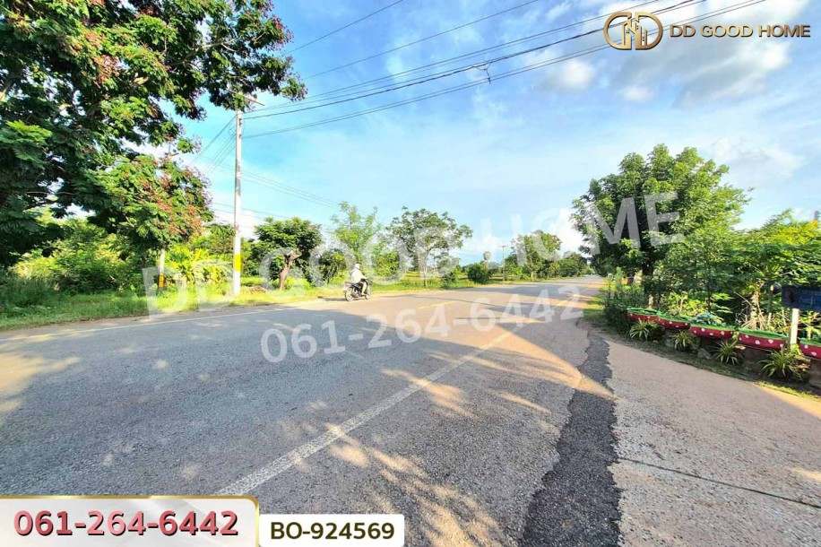 ที่ดินขามสะแกแสง 24 ไร่ 194.3 ตร.ว. นครราชสีมา ใกล้ที่ว่าการอำเภอขามสะแกแสง-10