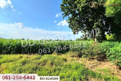 ที่ดินขามสะแกแสง 24 ไร่ 194.3 ตร.ว. นครราชสีมา ใกล้ที่ว่าการอำเภอขามสะแกแสง-5