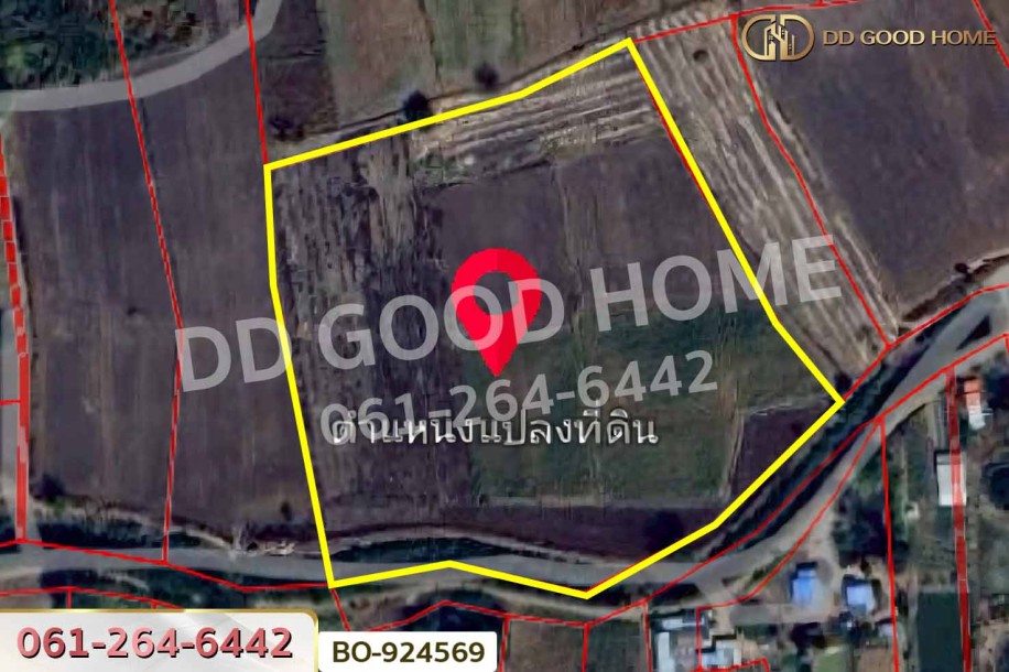 ที่ดินขามสะแกแสง 24 ไร่ 194.3 ตร.ว. นครราชสีมา ใกล้ที่ว่าการอำเภอขามสะแกแสง-3