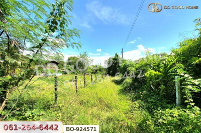 ที่ดินโนนไทย 220.6 ตร.ว. นครราชสีมา ใกล้ที่ว่าการอำเภอโนนไทย