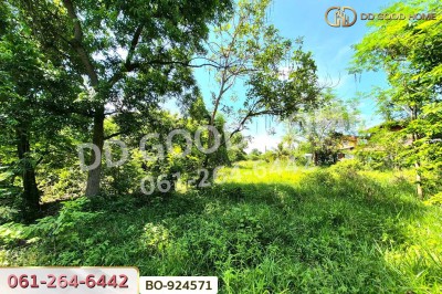 ที่ดินโนนไทย 220.6 ตร.ว. นครราชสีมา ใกล้ที่ว่าการอำเภอโนนไทย
