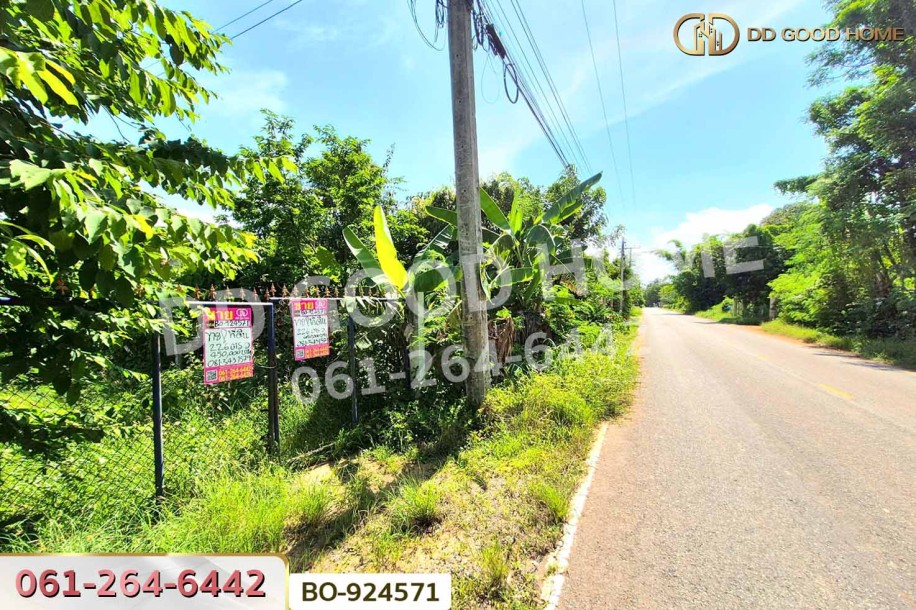 ที่ดินโนนไทย 220.6 ตร.ว. นครราชสีมา ใกล้ที่ว่าการอำเภอโนนไทย-3
