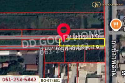 ที่ดินคลองสอง 1 ไร่ 19.1 ตร.ว. ปทุมธานี ใกล้ฟิวเจอร์พาร์ค รังสิต-11