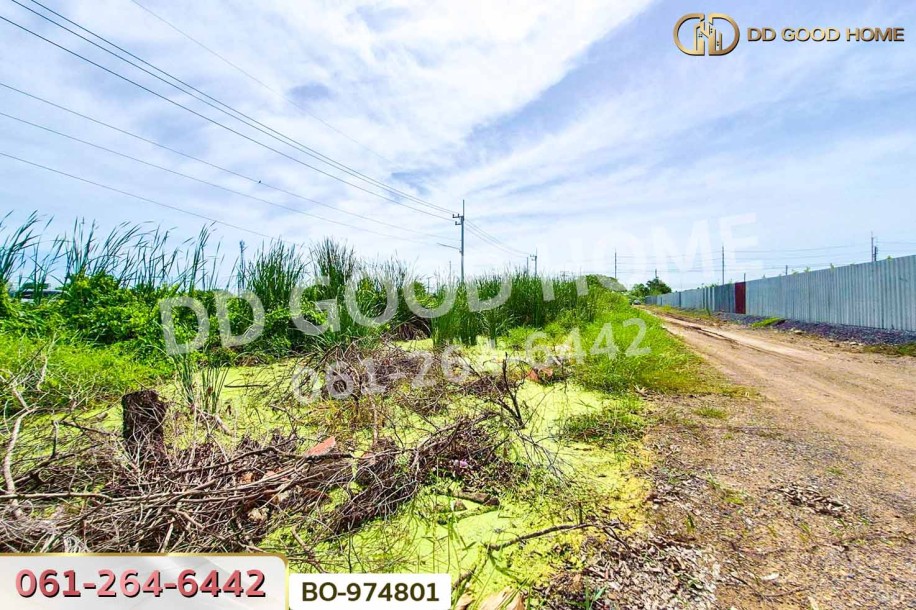 ที่ดินคลองสอง 1 ไร่ 19.1 ตร.ว. ปทุมธานี ใกล้ฟิวเจอร์พาร์ค รังสิต-8