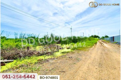 ที่ดินคลองสอง 1 ไร่ 19.1 ตร.ว. ปทุมธานี ใกล้ฟิวเจอร์พาร์ค รังสิต-7