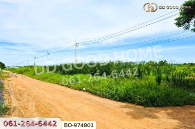 ที่ดินคลองสอง 1 ไร่ 19.1 ตร.ว. ปทุมธานี ใกล้ฟิวเจอร์พาร์ค รังสิต-6