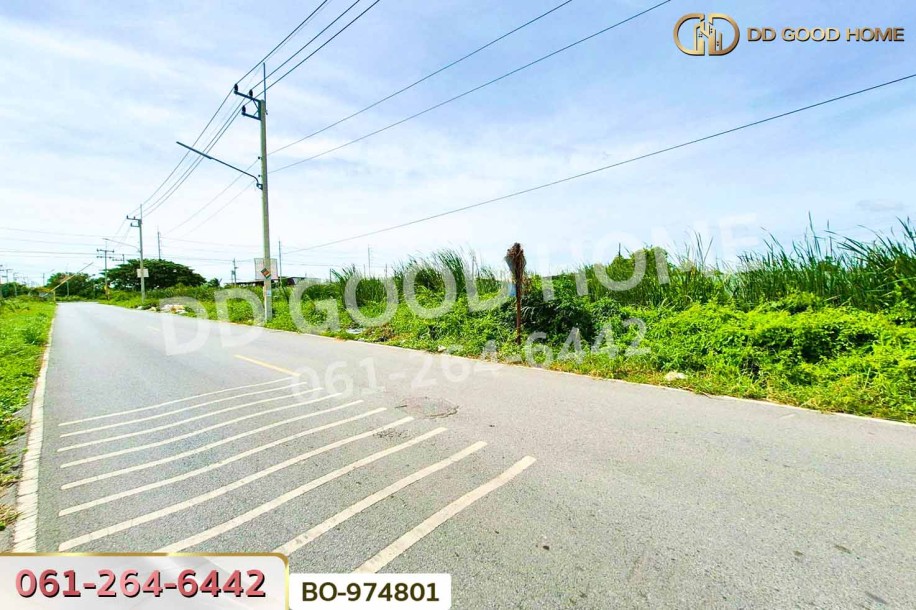 ที่ดินคลองสอง 1 ไร่ 19.1 ตร.ว. ปทุมธานี ใกล้ฟิวเจอร์พาร์ค รังสิต-5