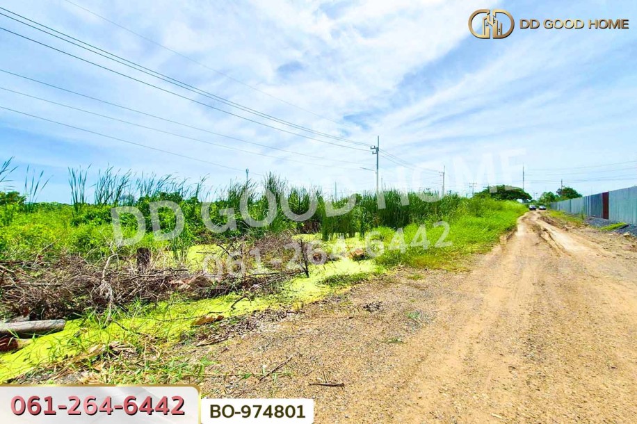 ที่ดินคลองสอง 1 ไร่ 19.1 ตร.ว. ปทุมธานี ใกล้ฟิวเจอร์พาร์ค รังสิต-2