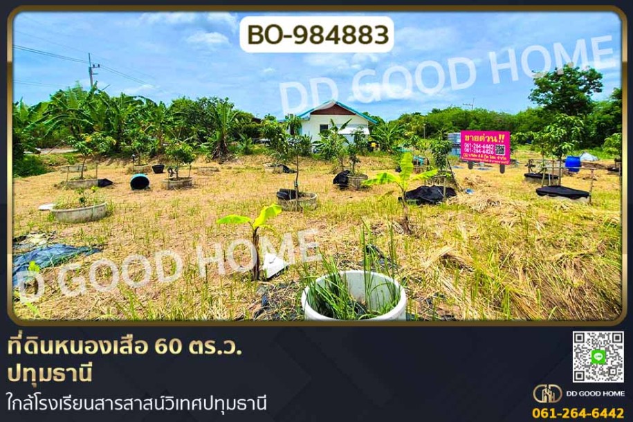 ที่ดินหนองเสือ 60 ตร.ว. ปทุมธานี ใกล้โรงเรียนสารสาสน์วิเทศปทุมธานี-1