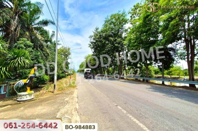 ที่ดินหนองเสือ 60 ตร.ว. ปทุมธานี ใกล้โรงเรียนสารสาสน์วิเทศปทุมธานี-9