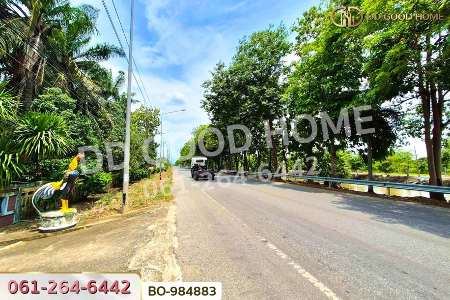 ที่ดินหนองเสือ 60 ตร.ว. ปทุมธานี ใกล้โรงเรียนสารสาสน์วิเทศปทุมธานี-9