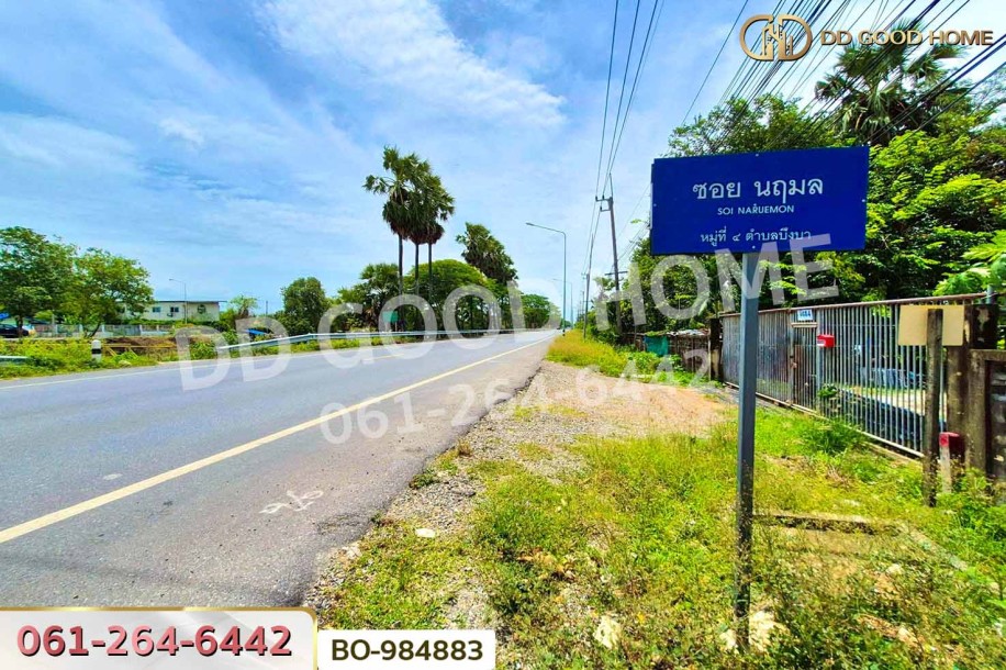 ที่ดินหนองเสือ 60 ตร.ว. ปทุมธานี ใกล้โรงเรียนสารสาสน์วิเทศปทุมธานี-8