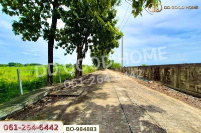 ที่ดินหนองเสือ 60 ตร.ว. ปทุมธานี ใกล้โรงเรียนสารสาสน์วิเทศปทุมธานี-7