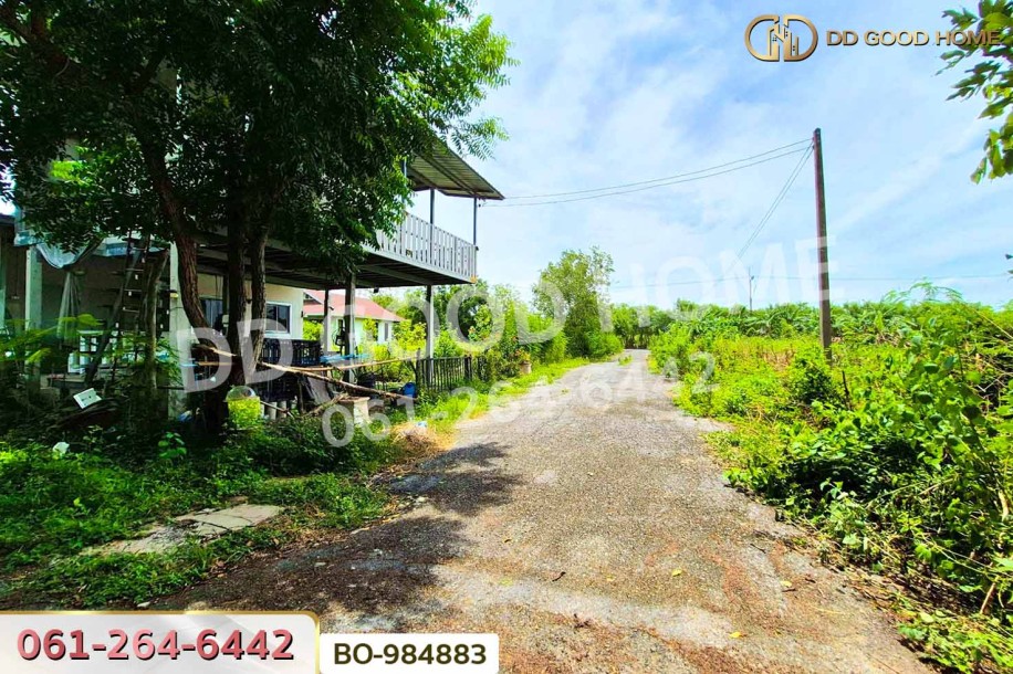ที่ดินหนองเสือ 60 ตร.ว. ปทุมธานี ใกล้โรงเรียนสารสาสน์วิเทศปทุมธานี-5