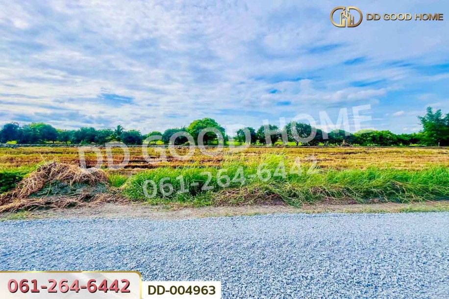 ที่ดินศรีประจันต์ 1 ไร่ สุพรรณบุรี ใกล้โรงพยาบาลศรีประจันต์.-2