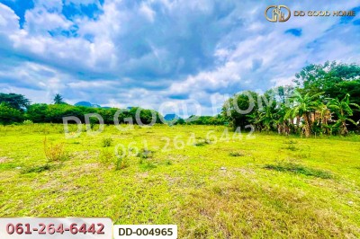 ที่ดินห้วยป่าหวาย 5 ไร่ 255 ตร.ว.พระพุทธบาท สระบุรี ใกล้สวนพฤกษศาสตร์พุแค