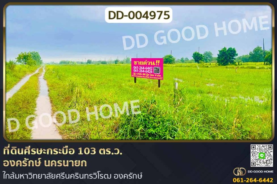 ที่ดินศีรษะกระบือ 103 ตร.ว. องครักษ์ นครนายก ใกล้มหาวิทยาลัยศรีนครินทรวิโรฒ องครักษ์.-1