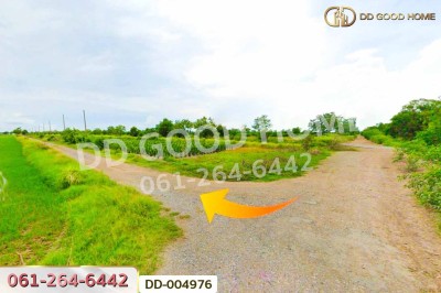 ที่ดินศีรษะกระบือ 105 ตร.ว. องครักษ์ นครนายก ใกล้มหาวิทยาลัยศรีนครินทรวิโรฒ องครักษ์.